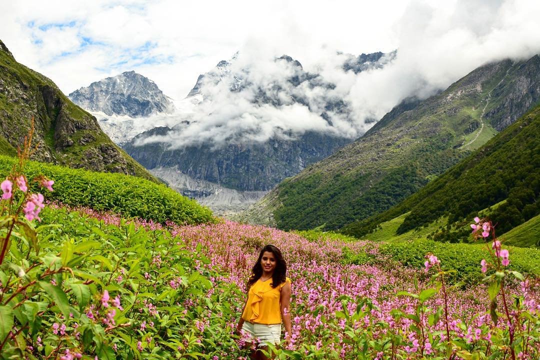 Alpine meadow in the Valley of Flowers